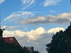 -天鹅湖体育公园