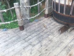 -长白山聚龙火山温泉