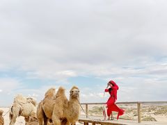 -玉龙沙湖景区