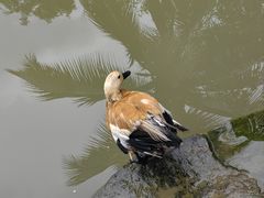 -呀诺达热带雨林
