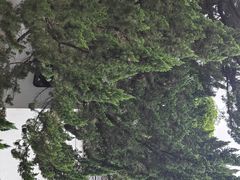 -汇龙潭