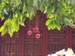 -福州开元寺