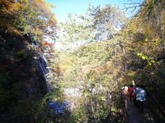 -龙道沟景区