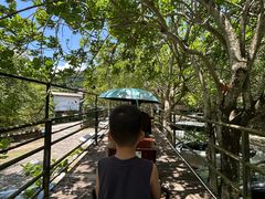 -海南槟榔谷黎苗文化旅游区