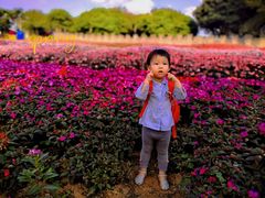 -松山湖梦幻百花洲