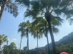 -重庆海昌加勒比海水世界