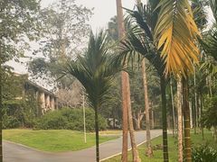 -中国科学院西双版纳热带植物园