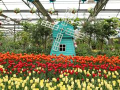 -南宫五洲植物乐园