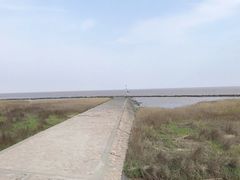 -南汇嘴观海公园