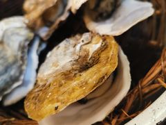 生蚝-鲁小三·大骨自助(金山总店)