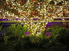 -茅草房·河畔园林火锅