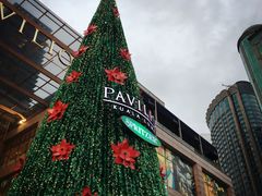 -关夫人餐厅(阳光广场店)