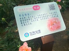 -仁和公园(顺义区)