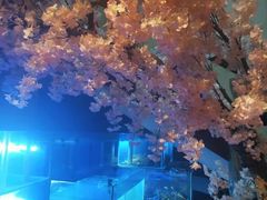 -樱之盛宴·蟹料理海鲜自助(前进大街店)