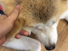 -YCHL Studios健身工作室(市二宫店)