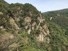 -四明山国家森林公园