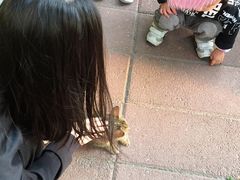 -江头公园
