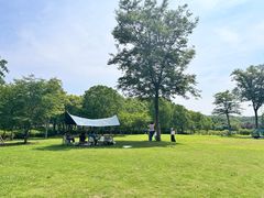 -宜兴龙背山森林公园