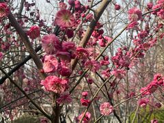 -山东大学(趵突泉校区)