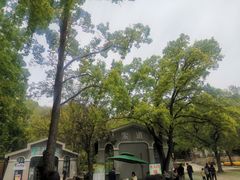 -WeLope紫金山探险公园