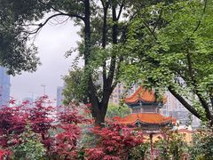 -开福禅寺