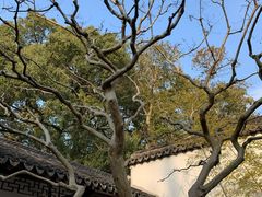 -上海醉白池公园
