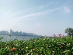 -艾溪湖湿地公园