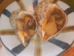 火焰海螺-松本楼(桥西店)