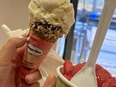 -哈根达斯(上海静安蛋糕店)