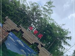 -牛背梁国家森林公园
