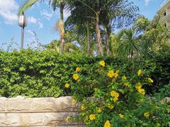 -惠州金海湾嘉华度假酒店