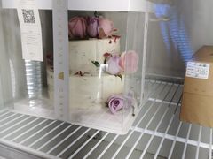 -EVERNAKED裸蛋糕(SOHO天山店)