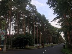-黑龙江省森林植物园