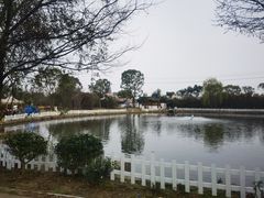 -鹅湖玫瑰文化园