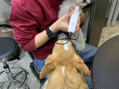 -PETKIT小佩宠物(昭化店)