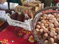 -马陆小张葡萄园农家乐