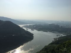 -铁山坪森林公园