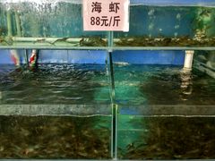 -勒南公舍(龙江店)