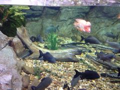 iphone_upload_pic-常州海昌海洋探索馆