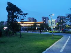 -飞凤山奥体公园