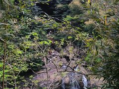 -长谷洞天