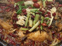 -老板恋上鱼(恒隆广场店)