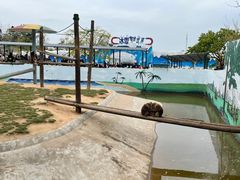 -西霞口神雕山野生动物世界