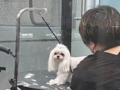 -宠物家(长阳店)