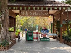 -野象谷景区