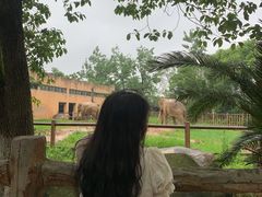 -南昌动物园