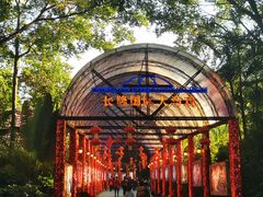 -广州长隆国际大马戏