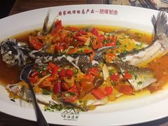 清蒸翘嘴鱼白-丹江渔村(首都机场店)