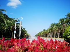 -白鹭洲公园