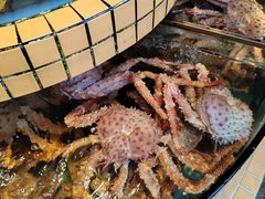 -荔城生鲜盛宴(番禺旗舰店)